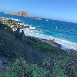 Meet your Posher, Shelby